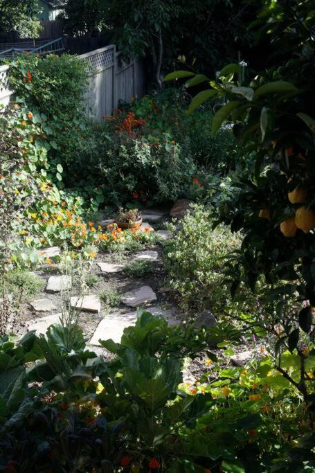 Beautiful, Historic Family Home Near Lake Merritt 오클랜드 외부 사진