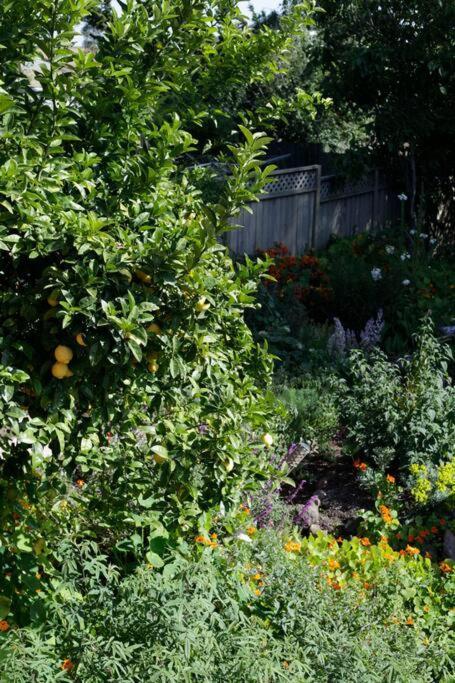 Beautiful, Historic Family Home Near Lake Merritt 오클랜드 외부 사진