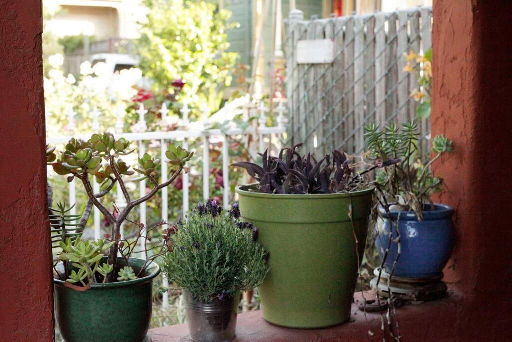 Beautiful, Historic Family Home Near Lake Merritt 오클랜드 외부 사진